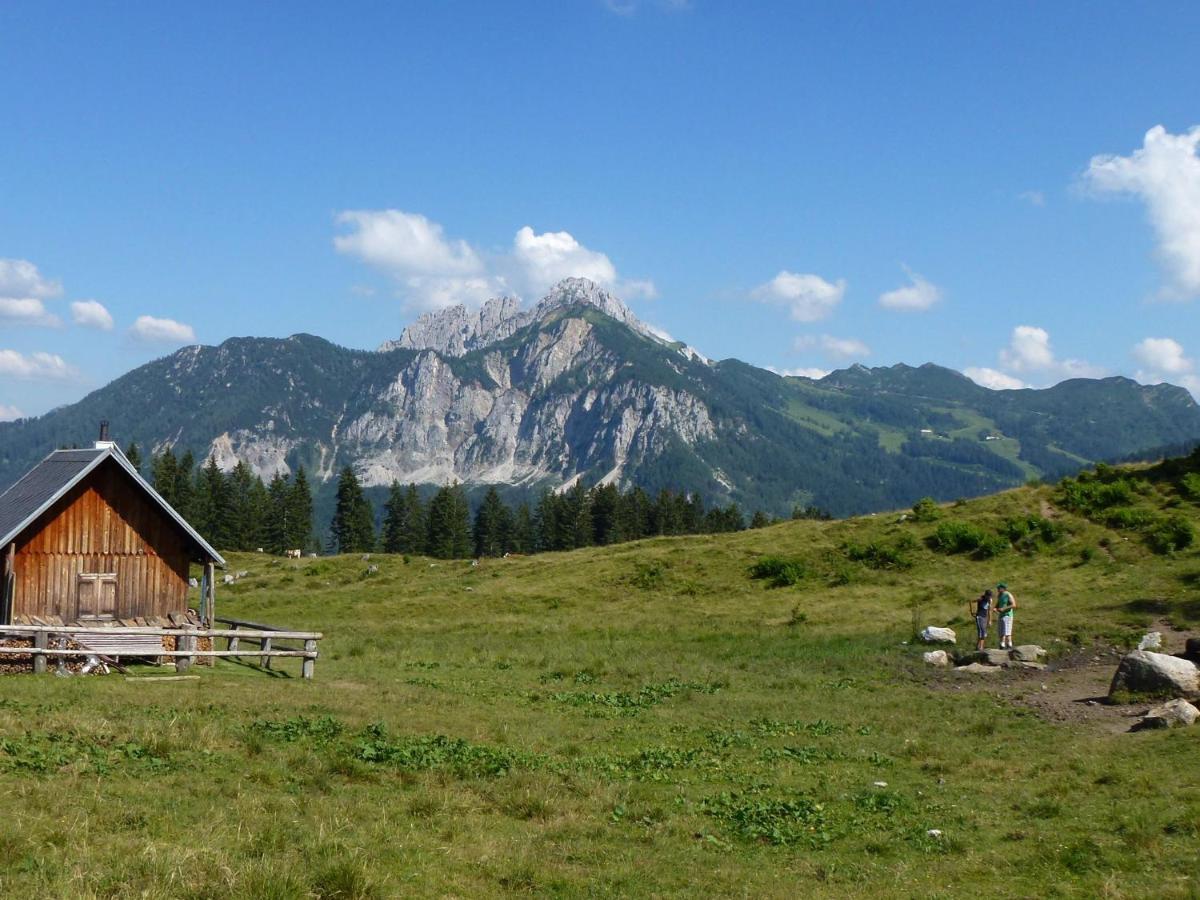 Apartment In Tr Polach Carinthia With Pool Tröpolach Εξωτερικό φωτογραφία