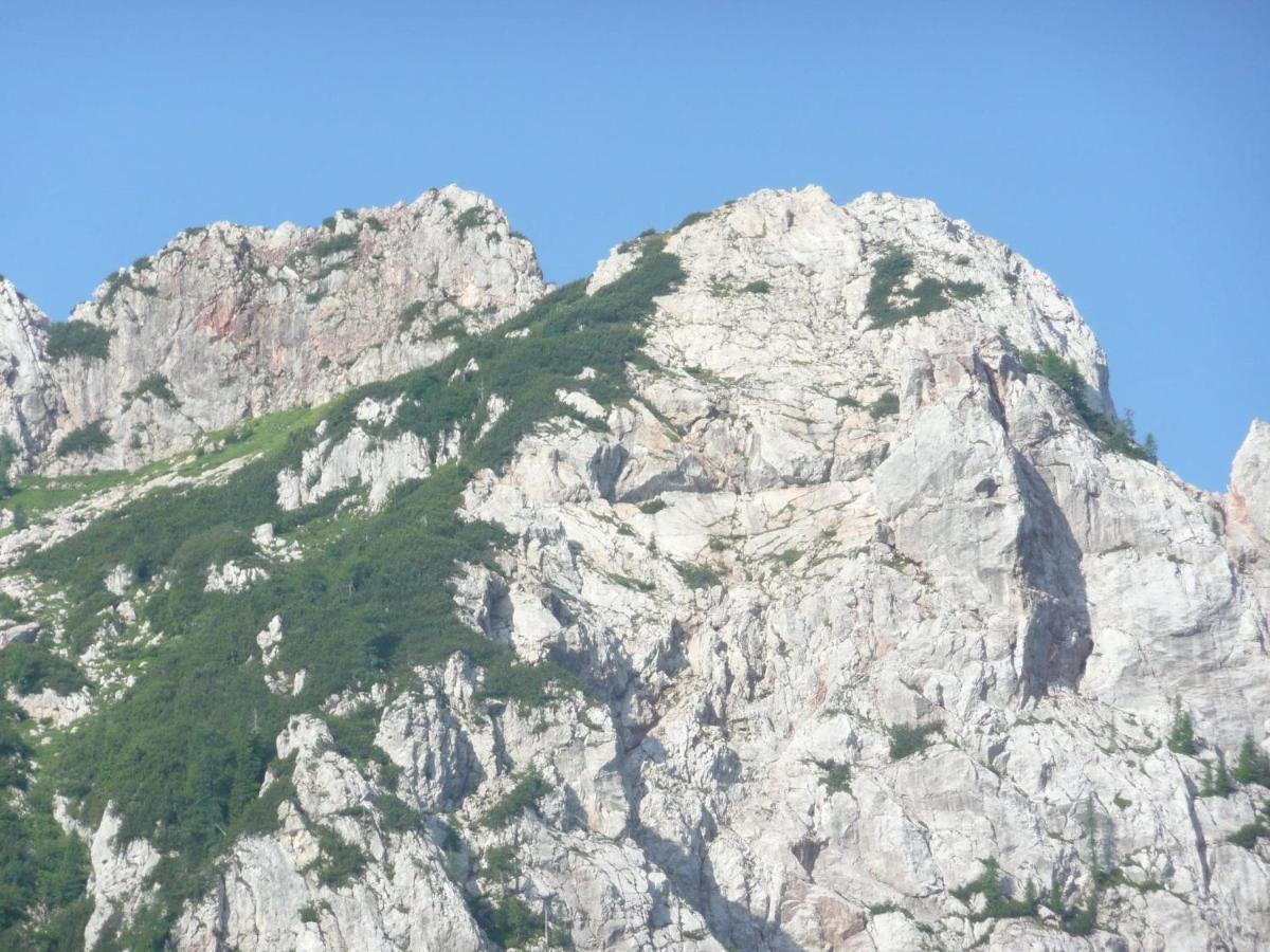 Apartment In Tr Polach Carinthia With Pool Tröpolach Εξωτερικό φωτογραφία